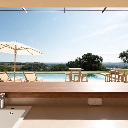 La Vieille Tronque *