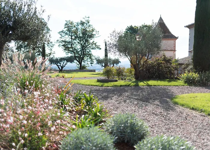 La Vieille Tronque *